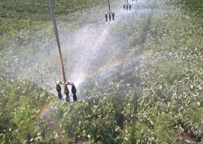 Valley Irrigation sprinklers